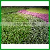 Artificial Outdoor Decorative Grass Wall thumbnail-2