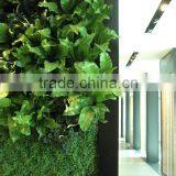 Home and Outdoor Decoration Synthetic Cheap Artificial Vertical Green Grass Wall E08 04R30 thumbnail-4
