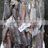 Frozen Illex Argentinus Squid thumbnail-4
