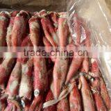 Frozen Seafood Importers Squid Loligo thumbnail-1