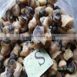 Cooked Cleaned Frozen Conch thumbnail-1