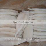 Squid Tube U5,u7,u8 thumbnail-1