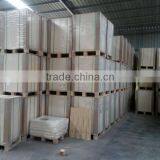 160 170 180 Gsm Plus PE PE Coated Paper thumbnail-1