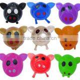 Soft TPR Hot Selling High Quality Colorful Pig Head Venting Fidget Water Ball Toys