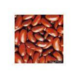 Sell Dark Red Kidney Beans thumbnail-1