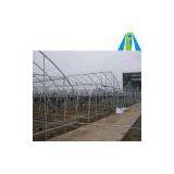 Commercial Greenhouse Manufacturer thumbnail-1