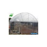 offer Tunnel Greenhouse