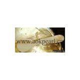 Mother of Pearl Spoon thumbnail-1