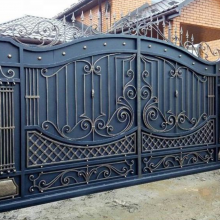Decorative Metal Fencing | Wrought Iron Garden Fence and House Main Gate thumbnail-2