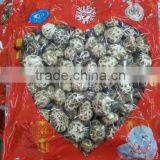 Lentinus Edodes /xianggu