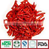 Tianying Red Chilli With Spicy Degree of 35000 SHU thumbnail-3