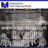 Cheap Dog Cage IN-M102
