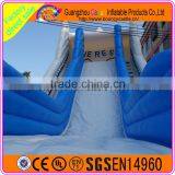 Giant Inflatable Plastic Dry Slide for Amusement Park thumbnail-1