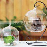 Hand Blown Different Types Clear Glass Vase Terrarium for Home Quality Choice thumbnail-1