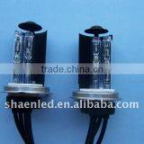 H1 Lamp Golden 55w HID Bulb