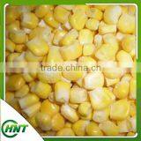 High Quality Iqf Corn Kernels thumbnail-2