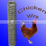 Galvanized Hexagonal chicken wire