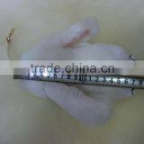 Plush Rabbit Keychain thumbnail-6