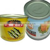 Canned Sardine - Pilchards