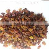 Malayar Raisins thumbnail-2