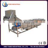 commercial air bubble fruit and vegetable washing equippment