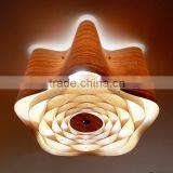 Home Decor Fancy Light Modern Ceiling Lamp,Fancy Light Modern Ceiling Lamp,Modern Ceiling Lamp C1009-50