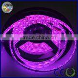 5050 Flexible Led Strip Made in China Led Light