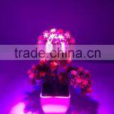 Cheap Led Grow Lights 12 Watt Par Grow Light for Hydroponics thumbnail-6