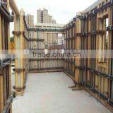 12mm 15mm 18mm Wood Plastic Building Formwork Plastic Board