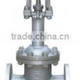SS 316Ti Gate Valve thumbnail-1