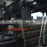 Automatic Feeding Machine in Using