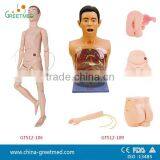 Fully Functional Hospital Used Basic Training Nursing Manikins thumbnail-1