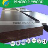 Film Faced Plywood Made in China thumbnail-4