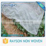 Seaworthy Polybag Packaging Waterproof Nonwoven Fabric Weed Barrier thumbnail-6