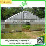 Middle East Greenhouse for Sale thumbnail-2