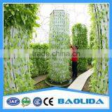 Competitive Price Greenhouse Hydroponics Strawberry thumbnail-1