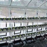 Plastic Garden Structure Wholesale Hydroponic Greenhouse thumbnail-3