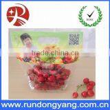 Customized Fruit Packaging Bag for Grape/cherry/fruit thumbnail-3