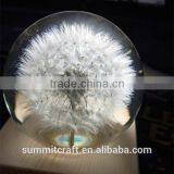 Custom Real Dandelion Paperweight Gift thumbnail-4