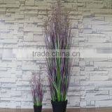 Artificial Heronsbill Grass thumbnail-4