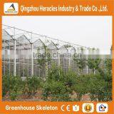 Heracles Trade Assurance Greenhouse Hydroponica thumbnail-4