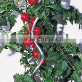 Galvanized Tomato Stake Stick for Spiral Plants thumbnail-1