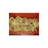 Beet Root thumbnail-2