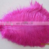 top sale 65-70cm pink ostrich feather from south Africa