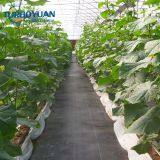 Black Plastic PP Ground Cover Mesh Mat for Greenhouse thumbnail-5