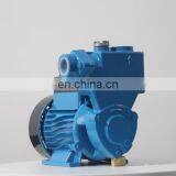 High Pressure Self Priming Pump, Domestic Booster Pump, Automatic Pump thumbnail-1