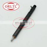 A6640170121 Common Rail Fuel Injector Diesel Injector EJBR04501D R04501D For Delphi Ssangyong Actyon