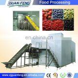 Professional Air Blast Freezer Frozen Iqf Strawberries Machinery Industrial Blast Freezers thumbnail-5