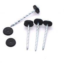 Galvanized Umbrella Head Roof Nails Umbrella Type Roofing Nail Umbrella Head Roofing Nail thumbnail-3