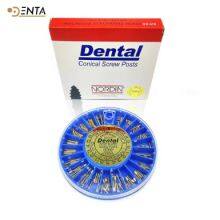 Dental Screw Post Dental Endodontic Conical Screw Post Stainless Steel Gold Plated Pure Titanium Endo Root Canal Pins Dentistry